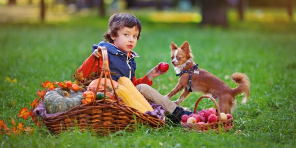 Boy with a dog evocative of kids games with animals